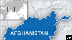 Militant Attacks Kill 8 US Soldiers in Afghanistan