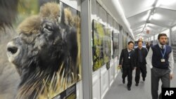 Para delegasi menuju pembukaan Konferensi Perubahan Iklim PBB di Warsawa, Polandia (11/11). (AP/Alik Keplicz)