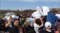 Mass Pillow Fight Turns Washington DC into Urban Playground