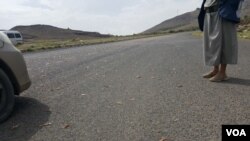 Dead locusts are seen on a Yemen highway (N. Shaker/VOA)