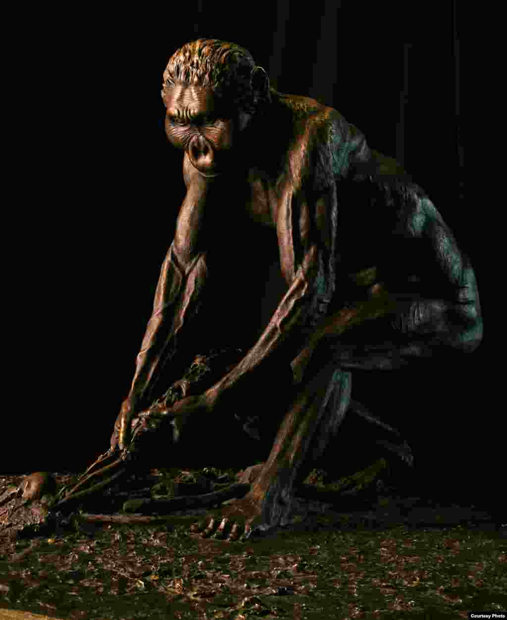 This Paranthropus boisei, cast in bronze, is shown going about his daily life about 2 million years ago. (John Gurche, “Shaping Humanity”)