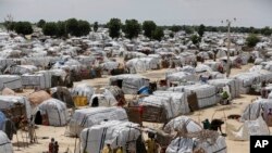 Un camp de déplacés à Maiduguri, Nigeria, le 28 août 2016. 