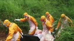 Ebola Vaccine Successful