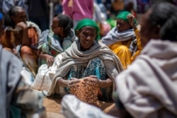 FILE - An Ethiopian woman scoops up grains of wheat after it was distributed by the Relief Society of Tigray in the town of Agula, in the Tigray region of northern Ethiopia, May 8, 2021.