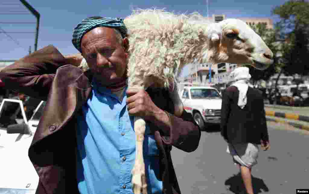 A man carries a sheep through a livestock market in Sanaa, October 24, 2012. Muslims around the world celebrate Eid al-Adha to mark the end of the Hajj by slaughtering sheep, goats, cows and camels.
