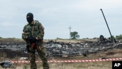 A pro-Russian fighter guards the crash site of a Malaysia Airlines jet near the village of Hrabove, eastern Ukraine, July 19, 2014.
