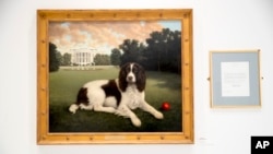 This Wednesday, Jan. 9, 2019, photo shows "Millie on the South Lawn" by Christine Merrill, alongside a letter from former first lady Barbara Bush on display at the American Kennel Club Museum of the Dog in New York. 