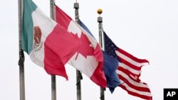 Meksika, AQSh va Kanada bayroqlari, Detroyt, Michigan shtati, 3-fevral. 2025