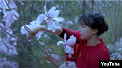 Li Ziqi, shown here in one of her YouTube videos, is one of China's most popular vloggers.