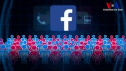 ABD'de Kamuoyu Yoklamaları