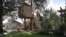 Tree Houses - A Branch of American Dream