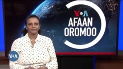 Tamsaasa Guyaadhaa Guyyaa