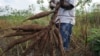 Nigeria's Effort to Boost Agriculture Faces Many Challenges