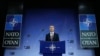 Шлях до членства у НАТО не буде коротким - західні експерти