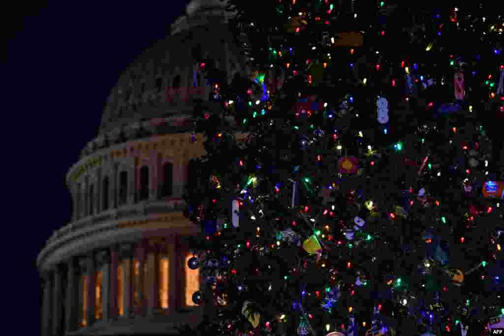 Cada noche el brillo del árbol de Navidad del Capitolio de EE.UU., en Washington, D.C. ilumina los alrededores. Imagen del 2 de diciembre de 2020. [AFP].