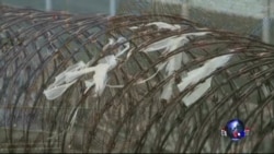 时事大家谈: 维权律师遭酷刑，中国法治蒙阴影