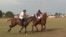 In polo, players can change horses every seven-and-a-half minutes of playing time. (C. Nwankwo/VOA)