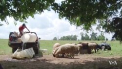 13-Year-Old Kurdish-American Boy Becomes Entrepreneur