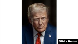 ډانالډ ټرمپ، د امریکا ولسمشر