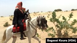 Un voyageur sur un cheval à la sortie du camp de Dar Es Salam à Baga-Sola (ouest du Tchad). 2 avril 2016. (VOA/Bagassi Koura).