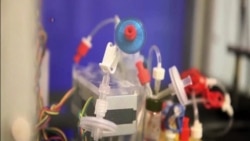 Scientists Will Test New Drugs on Artificial Micro-Organs