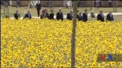 У Нідерландах відкрили меморіал жертвам MH17. Відео