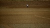 FILE - A farmer prepares the land to plant potatoes at a plantation in Cartago, Costa Rica April 27, 2018
