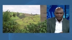 Des solutions congolaises pour un défi climatique mondial 