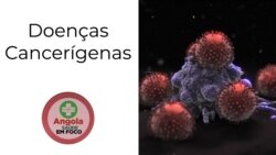 ASF: Com apenas um centro de oncologia no país, doentes precisam de "bagagem financeira e psicológica"