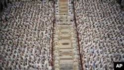 Deacons take part in a mass for their jubilee in St. Peter&#39;s Basilica at The Vatican,&nbsp;that was supposed to be presided over by Pope Francis who was admitted over a week ago at Rome&#39;s Agostino Gemelli Polyclinic and is in critical conditions.&nbsp;