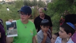 Jerusalem Park Aims to Host Wildlife, Coexistence