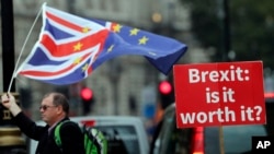 Учасник протесту проти "Брекзиту" під парламентом у Лондоні 4 вересня 2018 р.