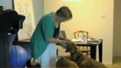 Amerikada sog'liqni saqlash tizimi qanday? US Health Care Cost