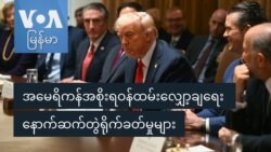 အမေရိကန်အစိုးရဝန်ထမ်းလျှော့ချရေး ရိုက်ခတ်မှုများ