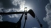 Oil Price Seen Falling to $60 if OPEC Output Not Cut