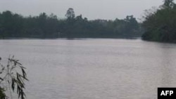 Vũ Thành với Giấc Mơ Hồi Hương