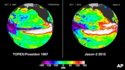 These false-color images provided by NASA satellites compare warm Pacific Ocean water temperatures from the strong El Nino that brought North America large amounts of rainfall in 1997, left, and the current El Nino as of Oct. 1, 2015, right.
