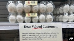FILE - A notice to customers is pictured near eggs for sale at a grocery store in Lyndhurst, N.J., Feb. 4, 2025. 
