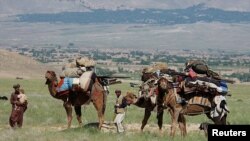Afghanistan Nomads