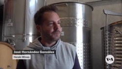 Turkish winemaking thrives against all odds