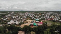 Firewood Needs Damaging Environment in Rohingya Refugee Camps