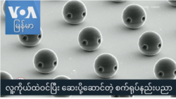 လူ့ကိုယ်ထဲ ဝင်ပြီး ဆေးပို့ဆောင်တဲ့ စက်ရုပ်နည်းပညာ "ထူးခြားဆန်းပြားသတင်းများ"