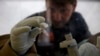 FILE - A scientist separates blood cells from plasma cells to isolate any Ebola RNA in order to test for the virus at the European Mobile Laboratory in Gueckedou, Guinea, April 2014.