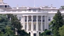 Shaxs va siyosat/Politics of identity - US Elections