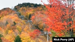 Jesenje boje na planini Lun, blizu grada Linkoln, u utorak 15. oktobra 2024.