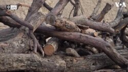 بلوچستان: ٹیوب ویلز کی سولر انرجی پر منتقلی، خدشات کیا ہیں؟