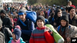 Migrants are seen walking toward Austria in Sentilj, Slovenia, Oct. 30, 2015. Asylum-seekers hoping to reach Western Europe turned to crossing Slovenia after Hungary closed its border with Croatia with a barbed-wire fence. 