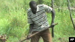 President Salva Kiir noted in a speech at the launch of the National Food Security Council that South Sudan is endowed with abundant natural resources and rich soil that should allow the country to feed itself and others.
