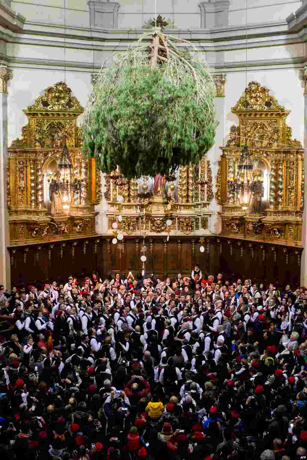 'Galejadors' (halagadores) cuelgan en un pino del techo de la iglesia durante “La Festa del Pi” en la localidad catalana de Centelles. Barcelona, España. [AFP]