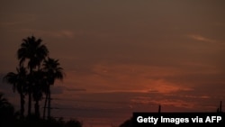 The sun rises behind saguaro cacti at Papago Park on June 17, 2021, in Phoenix, Arizona. 